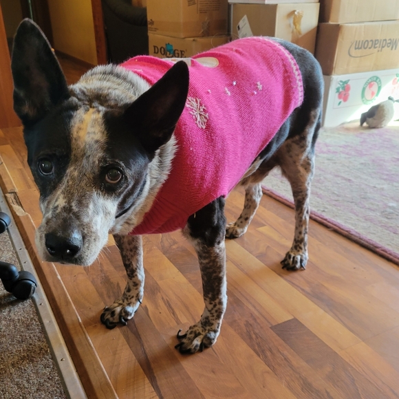 HOST PICK ๐ Vtg Pet Holiday Snowman Winter Knitted Sweater Pink - Picture 2 of 10